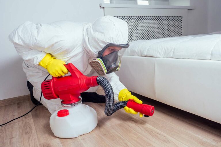 Choosing a Bed Bug Exterminator: Strategies for Effective Pest Elimination