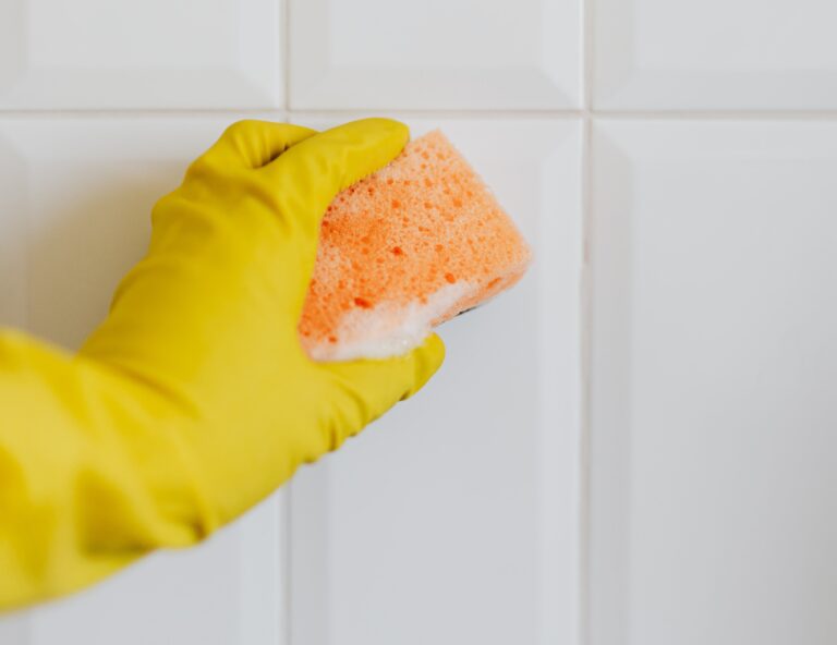 Effective Mold Removal and Prevention: A Homeowner’s Guide